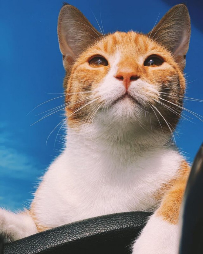 He also loves to fish