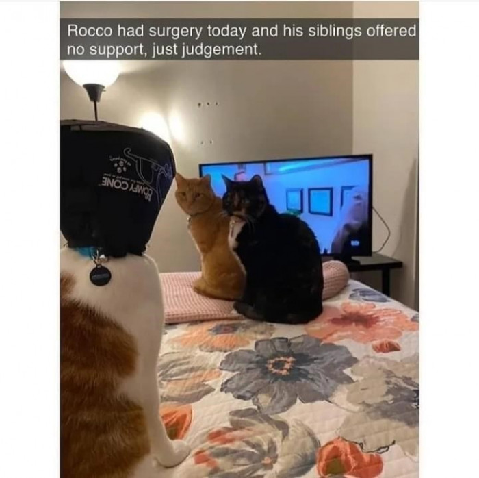 7. His siblings are over there judging him