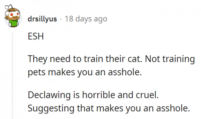 16. Training their cat is entirely their responsibility