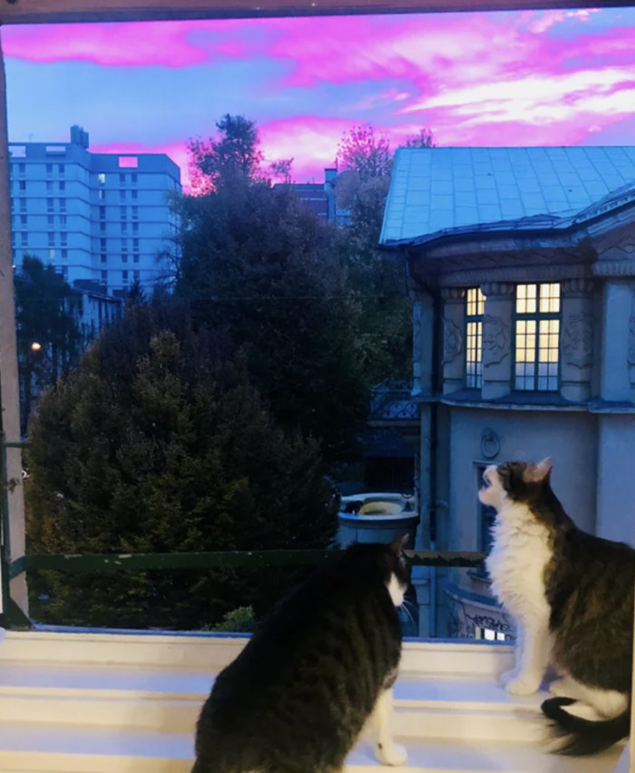 "The town crier ????"