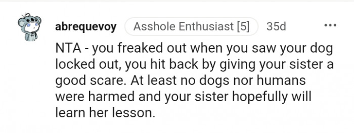 No dogs or humans were harmed