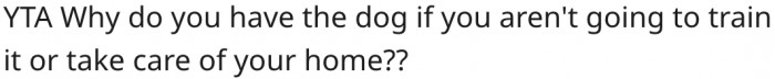 9. One should be prepared for the responsibilities that come with owning a dog.