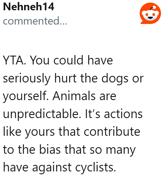 Dogs do not know the rules of the road.