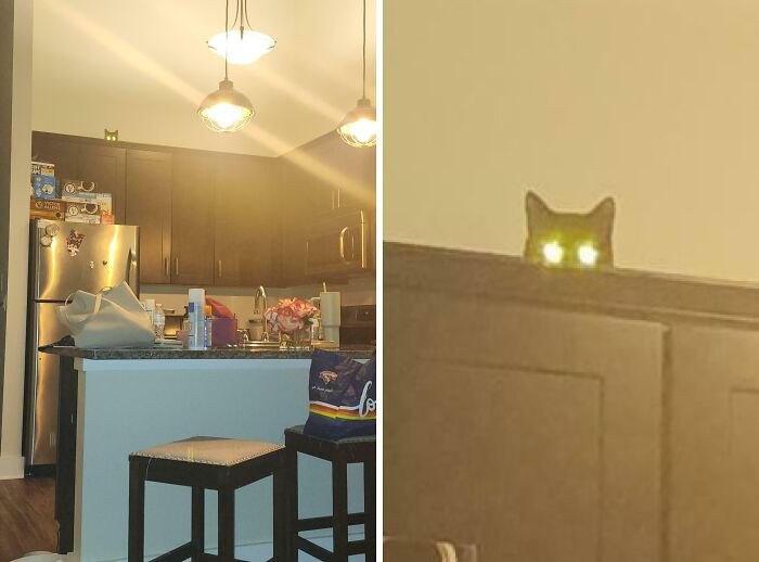 "He's Not Allowed Up There"