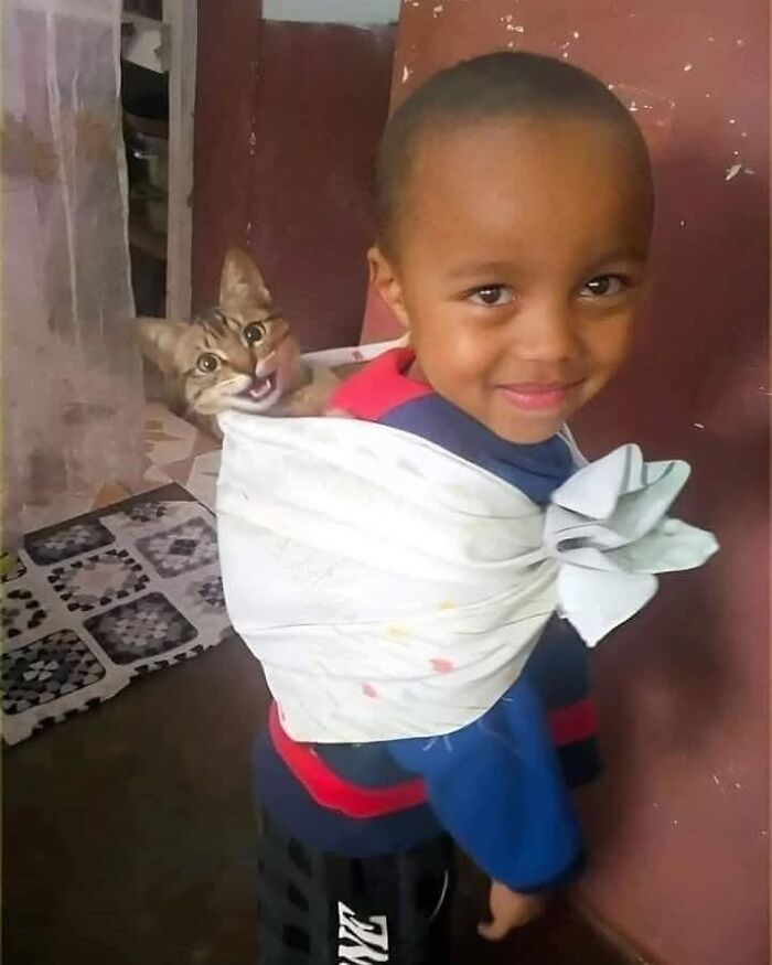 4. “Local child invents wearable cat happiness delivery system.”