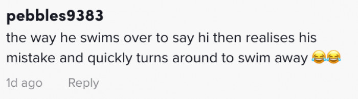 Dog chases down a track as his owner approaches, humorous moment