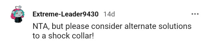 Consider Other Solutions Besides a Shock Collar