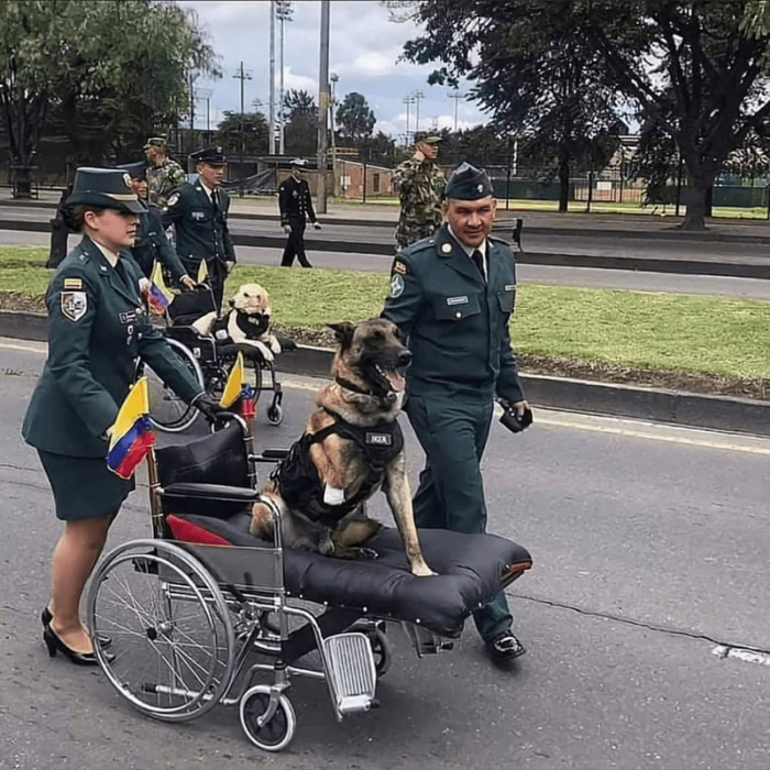 11. Honoring these heroes