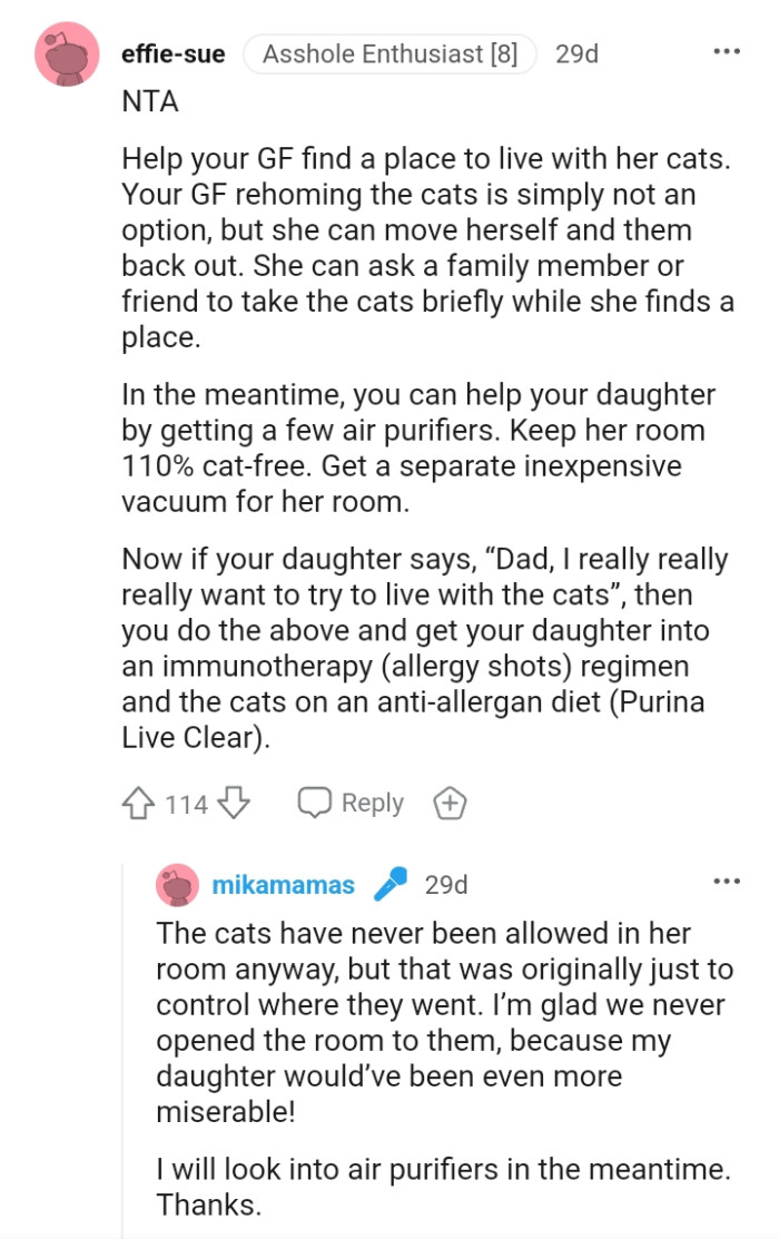 She can ask a family member to take the cats briefly