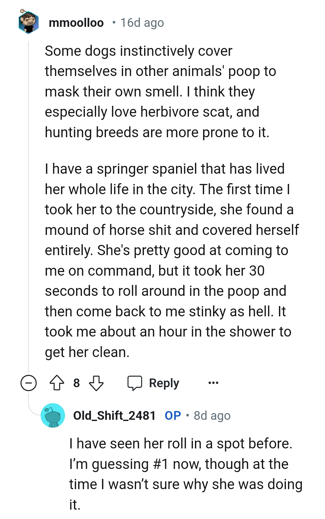 She's Pretty Good at Coming to This Redditor on Command