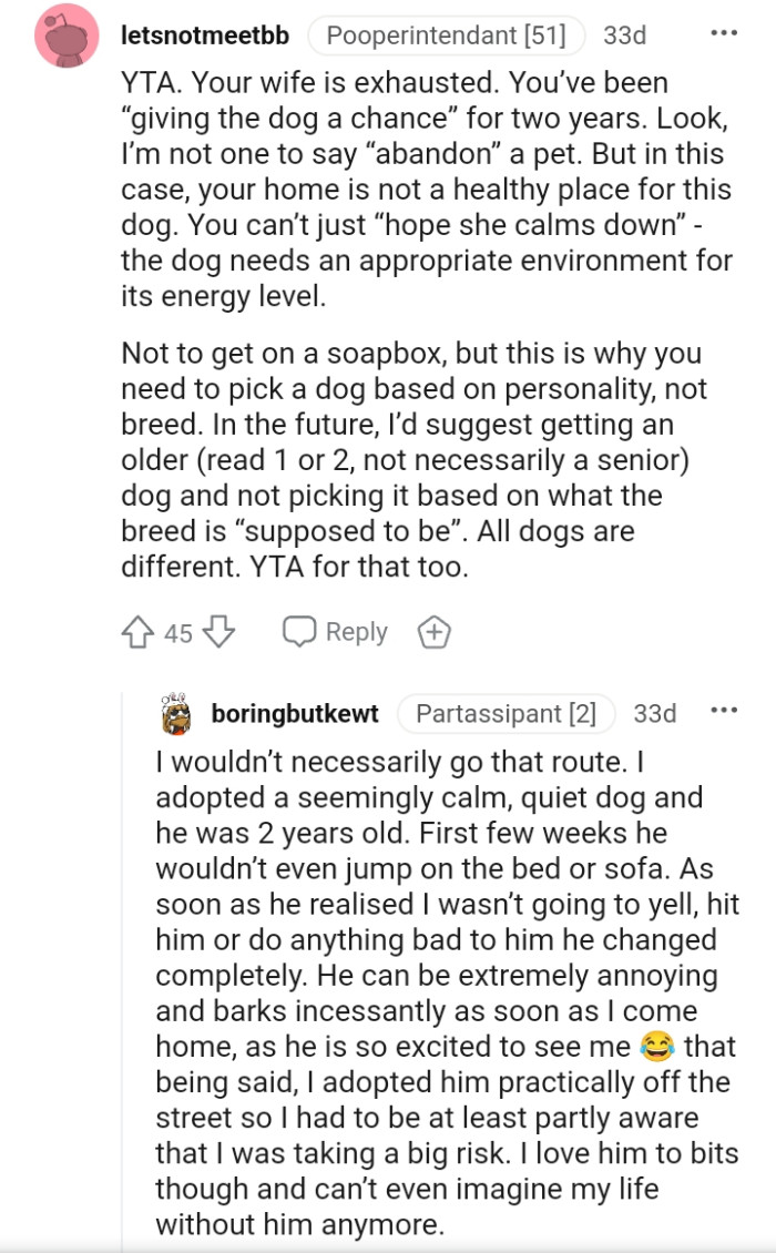 This is why you need to pick a dog based on personality