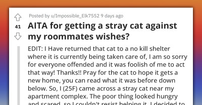 Lady Brings In A Stray Cat Against Her Roommate's Wishes, Gets Roasted By People Online