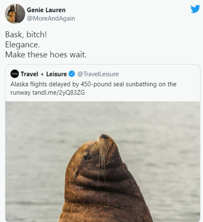 7. This Seal Who Was Not in a Hurry to Complete His Sunbathing Session.