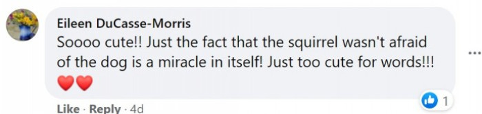 The lovely story has moved thousands of people online