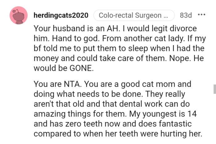 You are a good cat mom