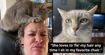 Stray Cat Comes To A Family Home Every Day To Fix Her Favorite Human’s Hair
