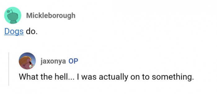 Apparently, it's not just birds that have accents