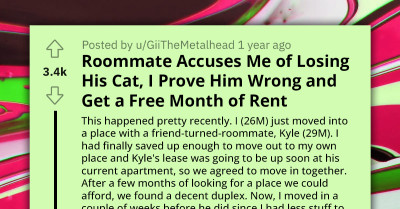 Man Secures Month Of Free Rent After Finding The Missing Cat His Roommate Blamed Him For Losing