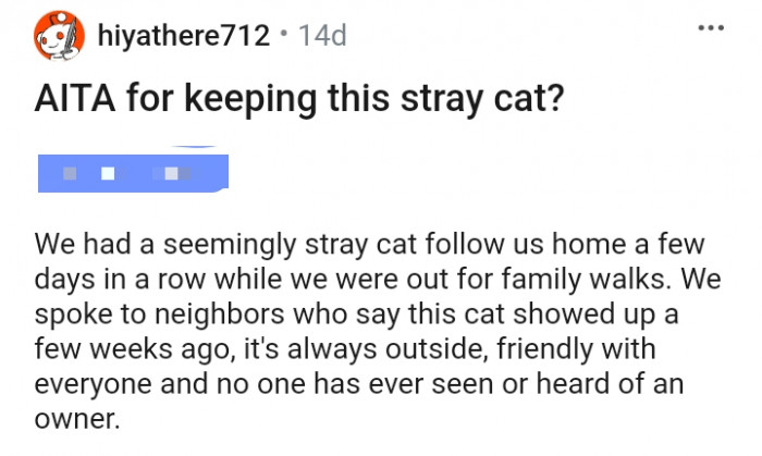 A seemingly stray cat follows the OP home a few days in a row