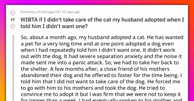 Husband’s Uncontrollable Adoption Of Cats And Dogs Reveals Much Deeper Family Issues