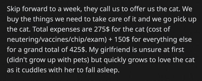 OP and their girlfriend bought everything they needed for the cat. They also had it chipped, vaccinated, and neutered; they spent $425 in total to adopt the cat.