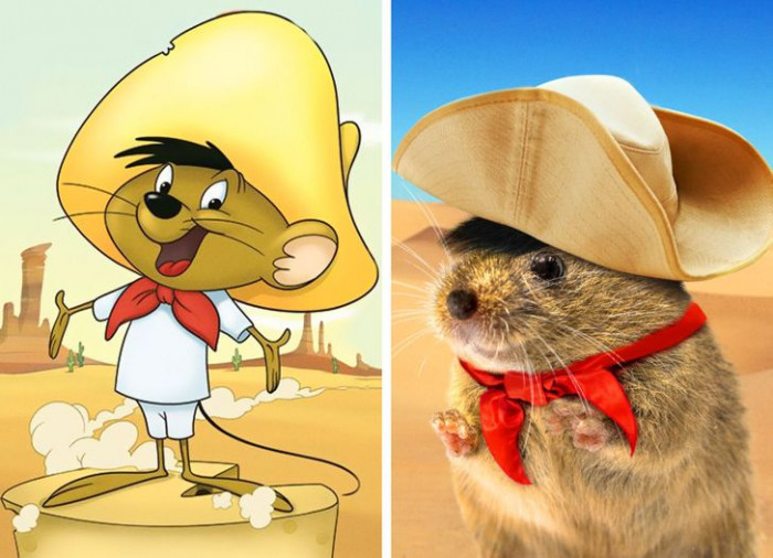 16. Speedy Gonzalez looks so adorable in this real-life version!