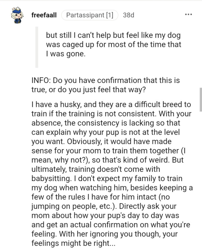 Huskies Are a Difficult Breed to Train