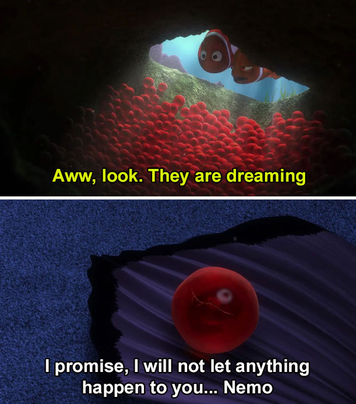 13. Finding Nemo