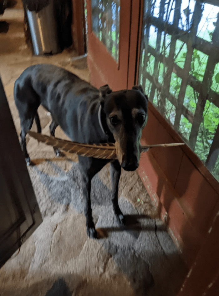 1. "Hey mummy, I got you something again."