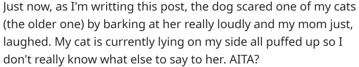 The cats seem to be scared of the dog, and OP is angry at her mom for thinking it is hilarious.