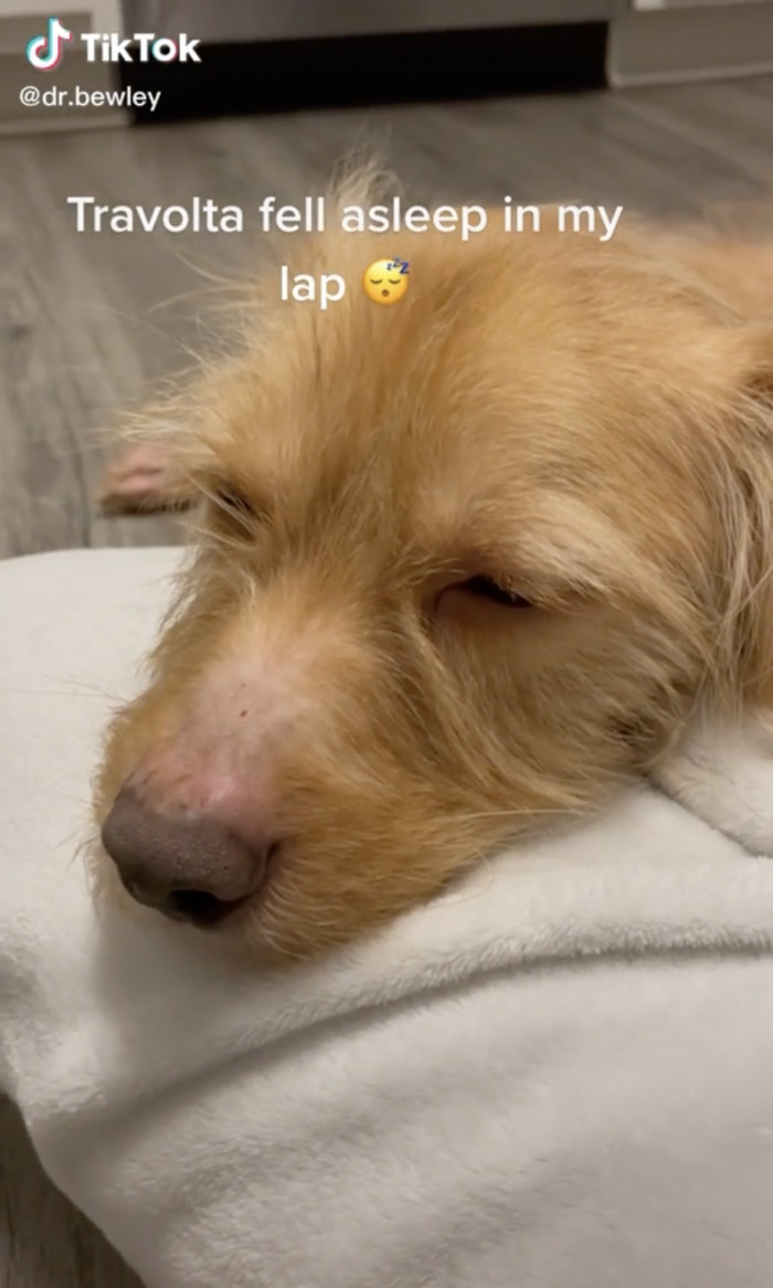 We think Travolta is falling in love