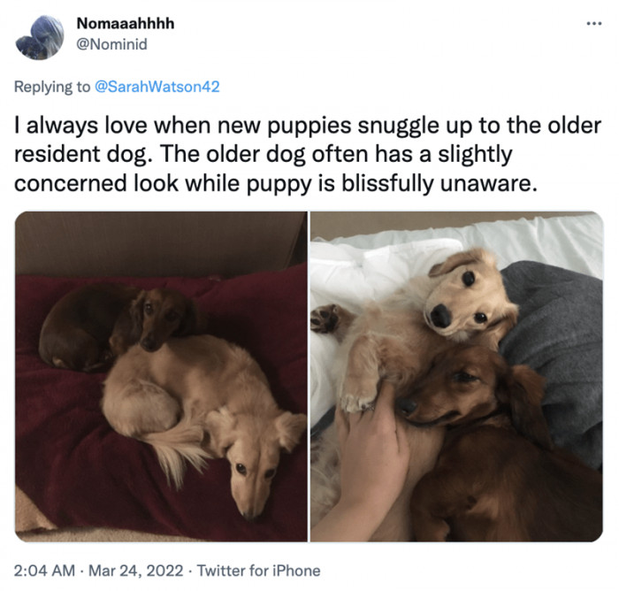 7. The little ones always love their big bro.