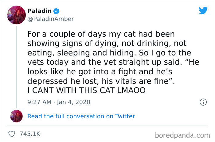 #13 Must have been a good fight for a cat to feel depressed about his loss.