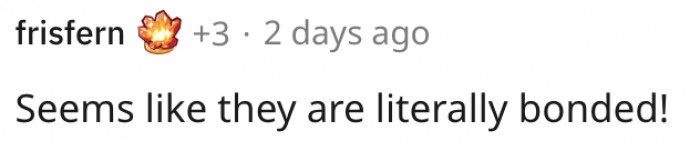 10. They look like they're bonded