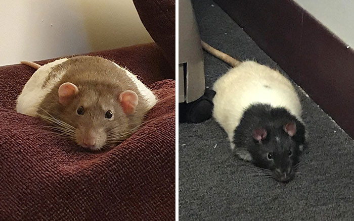 38. I'll just stay right here