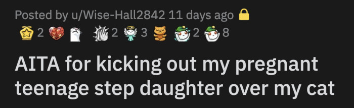 He Tried to Convince OP That Kim's Actions Were Due to Her Pregnancy