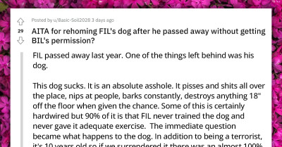 Redditor Rehomes Late Father-In-Law's Dog and Provokes a Family Dispute