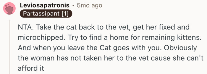 “NTA. Take the cat back to the vet, get her fixed and microchipped.”