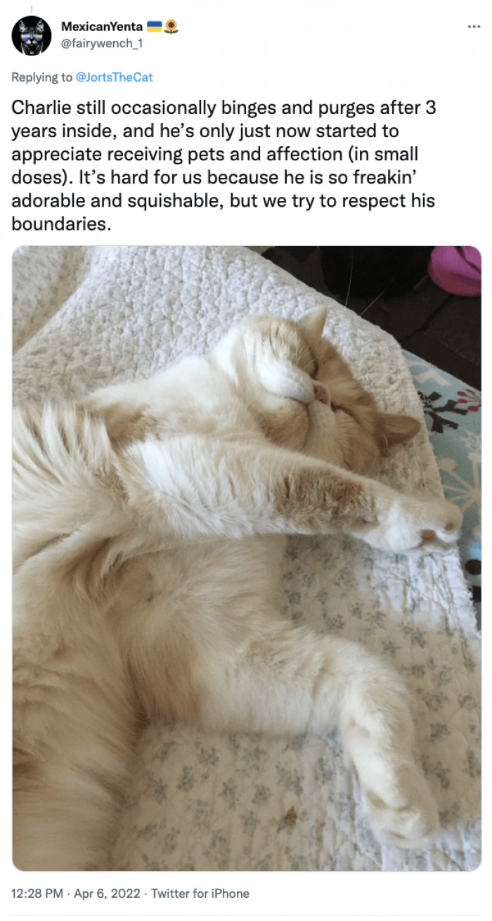 They built boundaries to protect themselves; don't worry, they still love you.