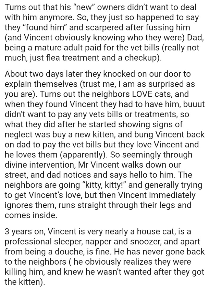 What the neighbors did after the cat started showing signs of neglect was buy a new kitten
