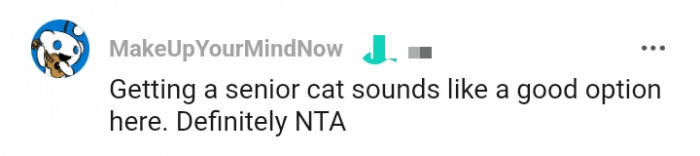 This Redditor is of the opinion the grandpa gets a senior cat