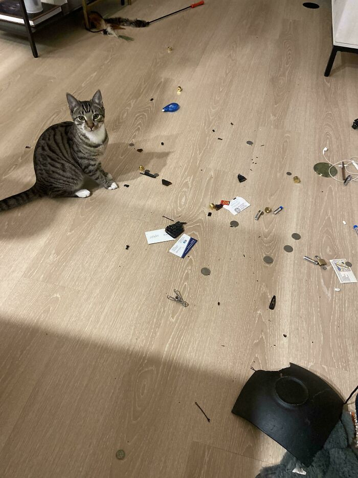 "I Went Out For Dinner"