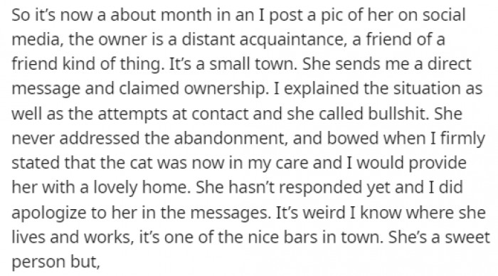 After posting Zuzu on social media, the original owner contacted her to claim ownership, but OP refused to give her the cat.