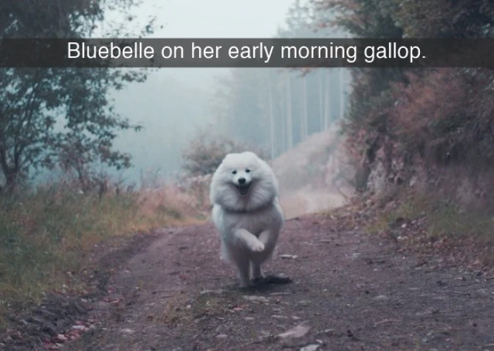 2. Who knew galloping could look this joyous and adorable!