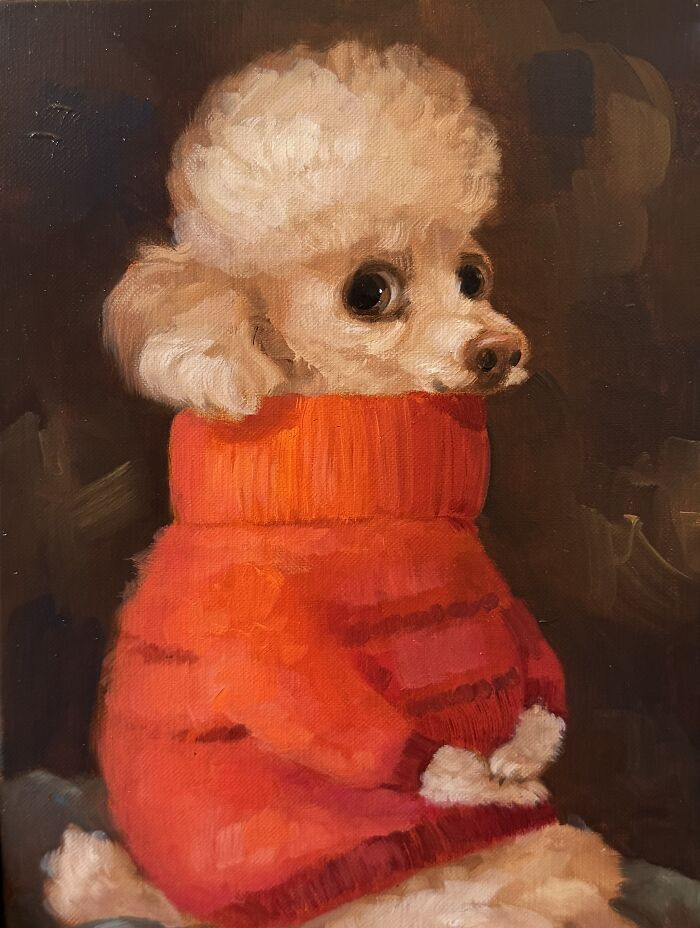 Paul, sometimes Pawl, pet portrait featuring table manners and tartan style.