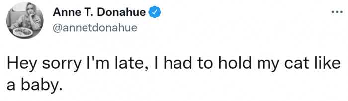 8. A cat can't be kept waiting.