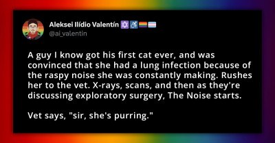 14 Funny Stories About Pets' Vet Visits That Will Give You The Giggles