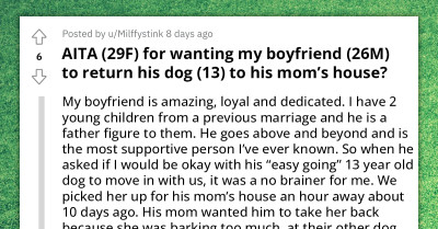 Redditor Wants To Know How To Find A Balance When Love For A Dog Meets Household Challenges