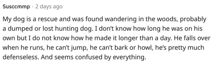 A dog that's pretty much defenseless and seems confused by everything.