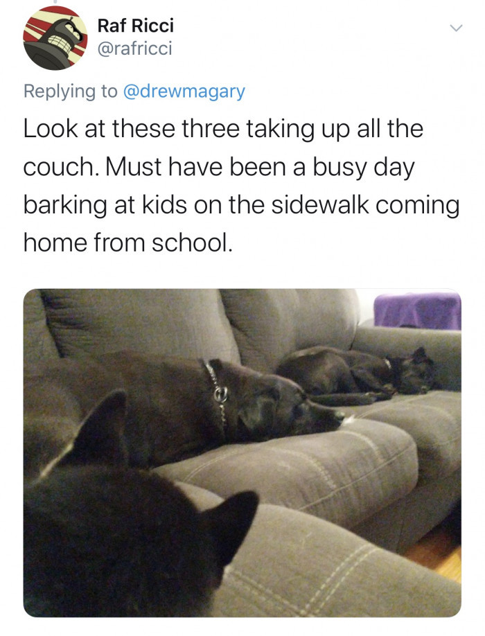 #7 I suggest you buy your own couch, dude.